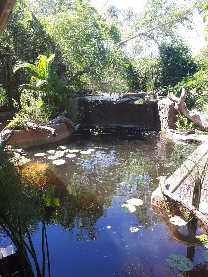 Chinderera Eco Lodge Manguzi Kültér fotó