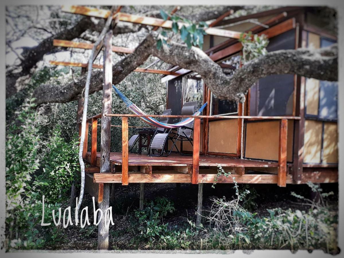 Chinderera Eco Lodge Manguzi Kültér fotó